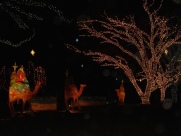 2005-12-22-40 Trail of Lights.jpg